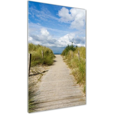 Vertikálny foto obraz sklenený Chodník na pláž 50x100 cm