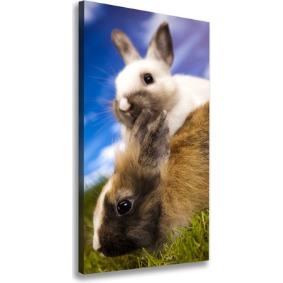Vertikálny foto obraz na plátne do obývačky Dva králiky 50x100 cm