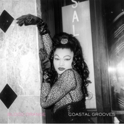BLOOD ORANGE: COASTAL GROOVES CD