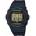 Casio DW-5700TH-1