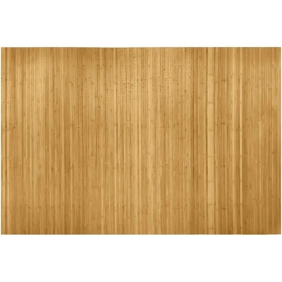 VidaXL Paraván z přírodního bambusu šířka 250 x 165 cm