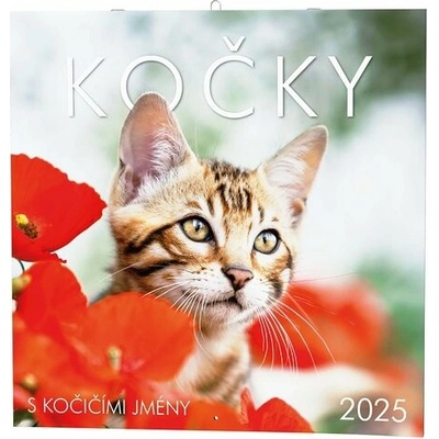 Kočky nástěnný 2025