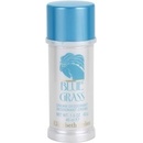 Elizabeth Arden Blue Grass Cream deostick Woman 40 ml