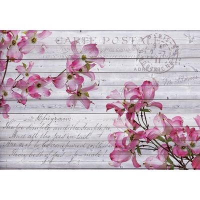 Preinterier FT5234 Fototapeta na stenu Vintage vlies 152cm x 104cm