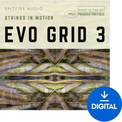 Spitfire Audio Evo Grid 3 (Digitálny produkt)