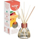 Bolsius Aromatic Diffuser Exotic Mango vonná stébla 45 ml