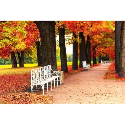 DIMEX ART Флизелинов фототапет бяла пейка в парка 375 x 250 см