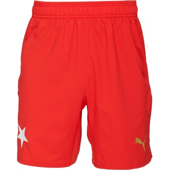 PUMA Sks shorts promo m