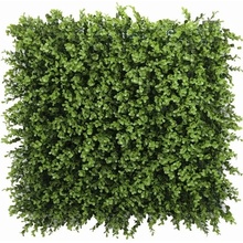 Buxus long green, dílec 50 x 50 cm