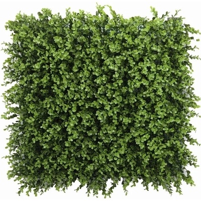 Buxus long green, dílec 50 x 50 cm
