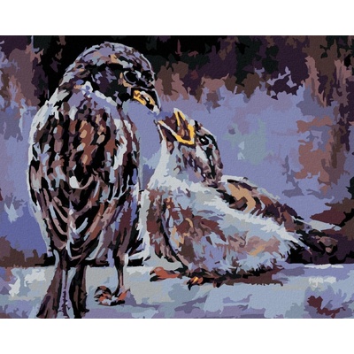 zuty Malování Podle Čísel Krmení Ptáčků 40 x 50 Cm Plátno Rám