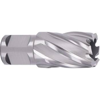 ABSE N-HS-W19-0240025