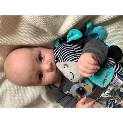 Baby Mix hudobná hračka Zebra