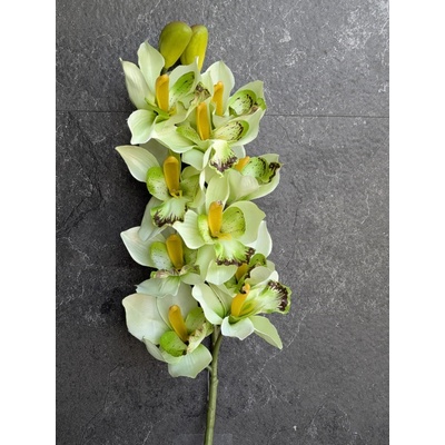 lacne-dekoracie.sk Orchidea 208A 75cm zelena