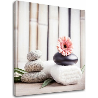 Obraz na plátne FENG SHUI_053-12 - 50x50 cm