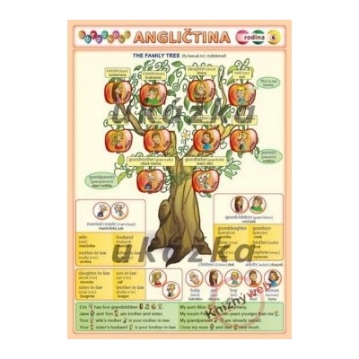 Obrázková angličtina 6 - rodina