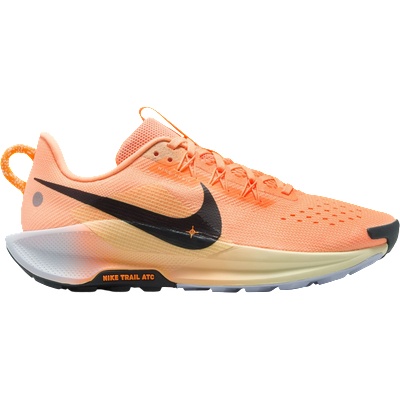 Nike Pegasus Trail 5