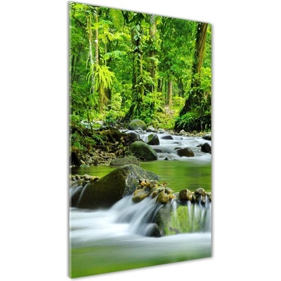 Vertikálny foto obraz sklenený Horský potok 50x100 cm