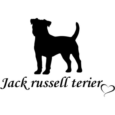 Nažehlovací nápis s motivem plemene - Jack russell terier Vzor: 5, Potisk: bílá, Motiv: srdce