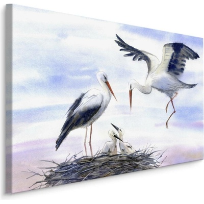 MyBestHome BOX Plátno Čápi u hnízda Varianta: 70x50