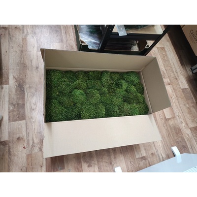 Vlasový mach - Hair moss - balenie XL