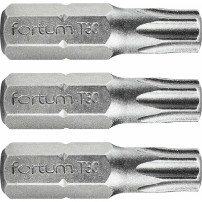 Fortum T30x25 mm 3 ks 4741430