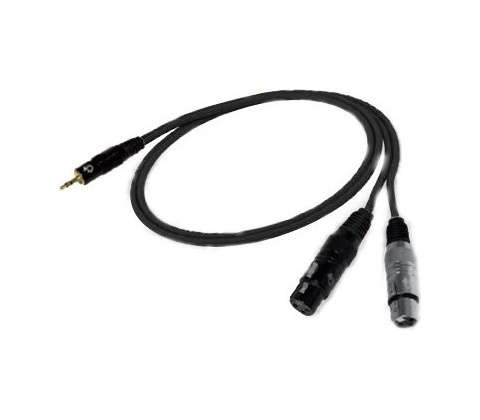 Bespeco EAYMS2FX300