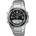 Casio Databank DBW-30D