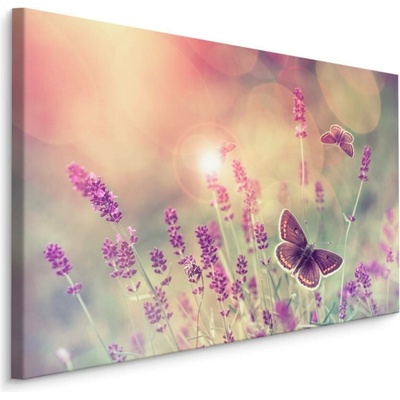 Plátno Motýli A Květy Levandule I. Varianta: 90x60