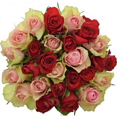 Kytice 25 míchaných růží ROSEBELLINE 70cm