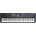 Kurzweil SP6