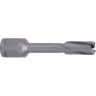 !!!! ABSE N-CA-W19-0130050