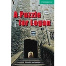 A puzzle for Logan