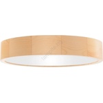 Temar CLEO TM0028