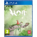 Hoa