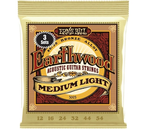 Ernie Ball 3003