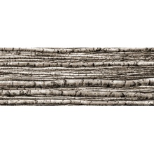 Tubadzin BIRCH dekorační skleněný 4-ELEMENTOVÝ 239,8 x 89,8 cm 2,16m²