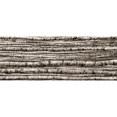 Tubadzin BIRCH dekorační skleněný 4-ELEMENTOVÝ 239,8 x 89,8 cm 2,16m²