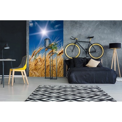 Dimex MS-2-0136 vliesová fototapeta na zeď Pšeničné pole rozmery 150 x 250 cm