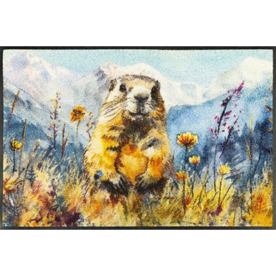 wash+dry Leander 50x75 cm
