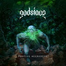 Positive Aggressive - Godslave LP