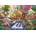KS Games - Puzzle Hunter: Songbirds at Summertime Mill - 1 500 piese