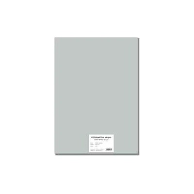 STEPA Barevný karton EXTRA 300g 50x70cm - stříbrný 10listů