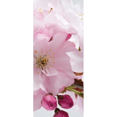 Preinterier DV0035 Fototapeta na stenu Ružový kvet vlies 91cm x 211cm