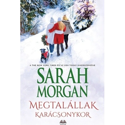 Megtalállak Karácsonykor