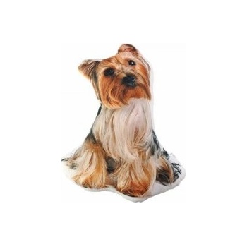 Lamps 58796 Vankúš Yorkšír 25x38