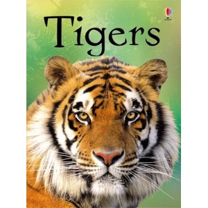 Tigers | James Maclaine (2012)