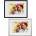 Q-Connect Frame Q-Connect Photo frame Q-CONNECT, 300x400mm, black