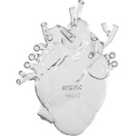 Seletti Ваза LOVE IN BLOOM 25 cм, стъкло, Seletti (SLT09922)
