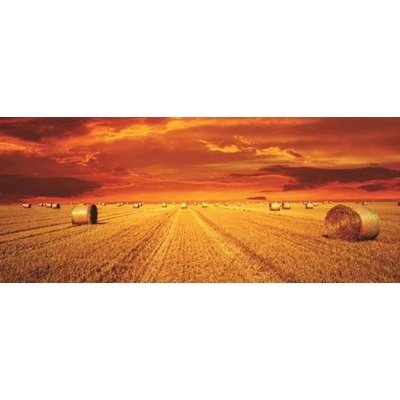 IMPOL TRADE 414VEP Fototapeta vliesová západ slnka rozmer 250 cm x 104 cm